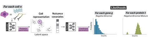 totalvi|TotalVI: A transformative algorithm .